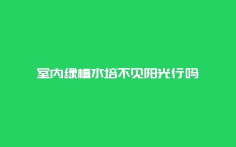 室内绿植水培不见阳光行吗