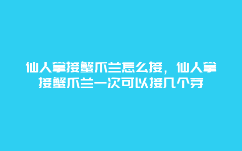 仙人掌接蟹爪兰怎么接，仙人掌接蟹爪兰一次可以接几个芽