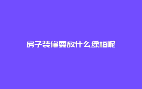 房子装修要放什么绿植呢