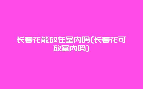 长春花能放在室内吗(长春花可放室内吗)