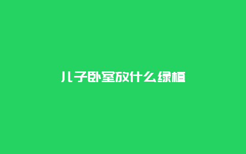 儿子卧室放什么绿植