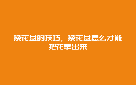 换花盆的技巧，换花盆怎么才能把花拿出来