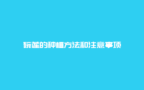 碗莲的种植方法和注意事项