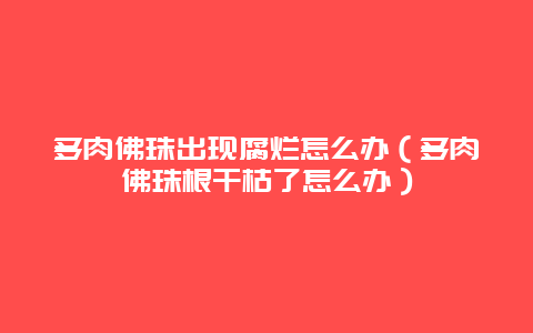 多肉佛珠出现腐烂怎么办（多肉佛珠根干枯了怎么办）