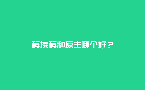 梅接梅和原生哪个好？