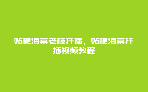 贴梗海棠老枝扦插，贴梗海棠扦插视频教程