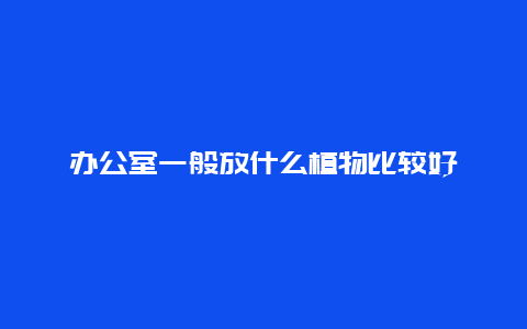 办公室一般放什么植物比较好