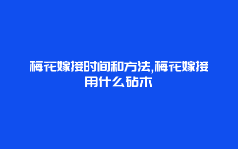 梅花嫁接时间和方法,梅花嫁接用什么砧木