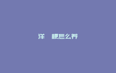 洋桔梗怎么养