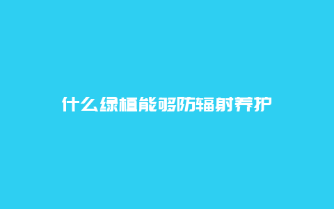 什么绿植能够防辐射养护