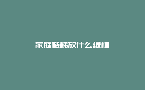 家庭楼梯放什么绿植