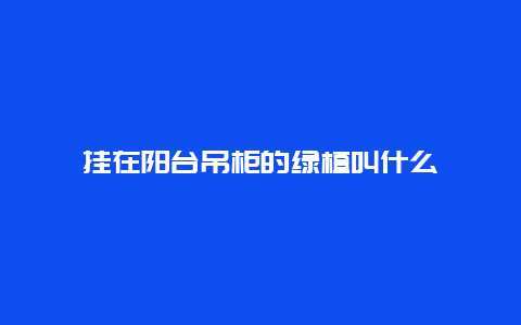 挂在阳台吊柜的绿植叫什么