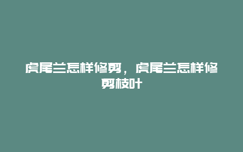 虎尾兰怎样修剪，虎尾兰怎样修剪枝叶