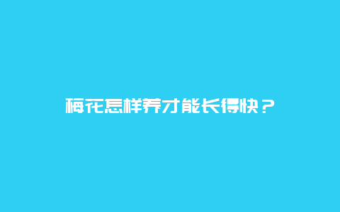 梅花怎样养才能长得快？