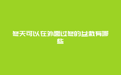 冬天可以在外面过冬的盆栽有哪些