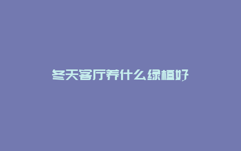 冬天客厅养什么绿植好