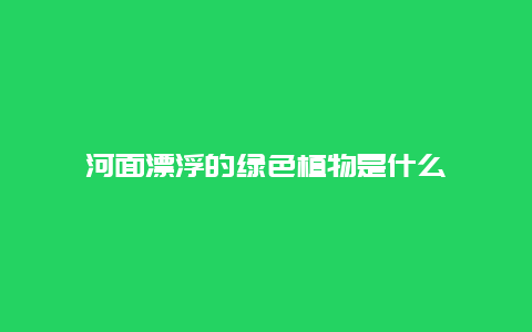 河面漂浮的绿色植物是什么