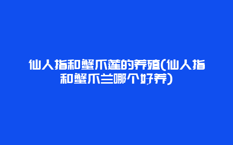 仙人指和蟹爪莲的养殖(仙人指和蟹爪兰哪个好养)