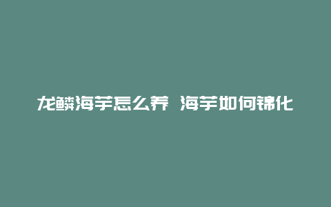 龙鳞海芋怎么养 海芋如何锦化