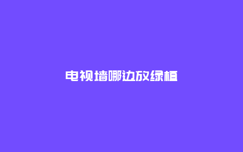 电视墙哪边放绿植