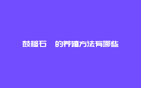 鼓槌石斛的养殖方法有哪些