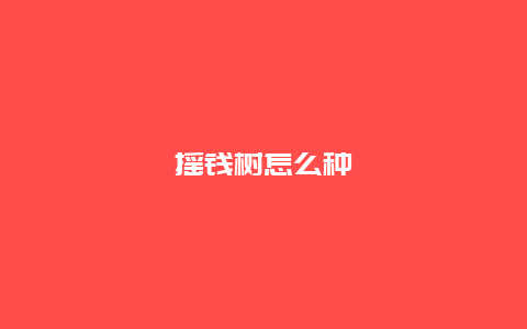 摇钱树怎么种