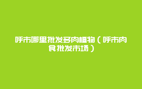 呼市哪里批发多肉植物（呼市肉食批发市场）