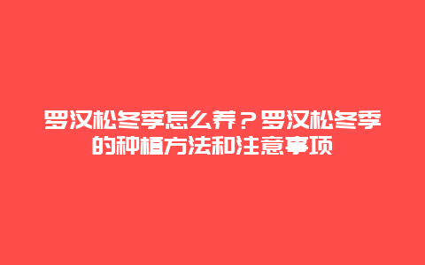 罗汉松冬季怎么养？罗汉松冬季的种植方法和注意事项