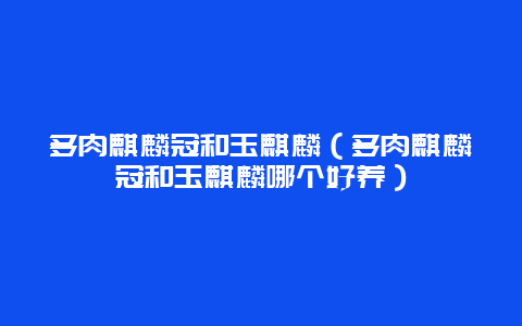 多肉麒麟冠和玉麒麟（多肉麒麟冠和玉麒麟哪个好养）