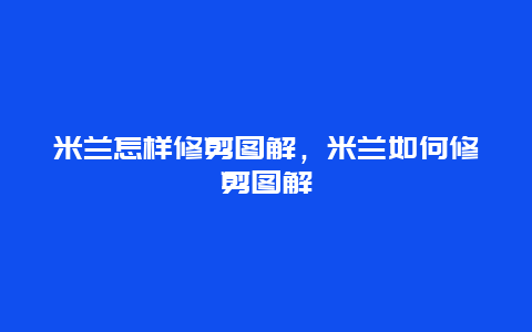 米兰怎样修剪图解，米兰如何修剪图解