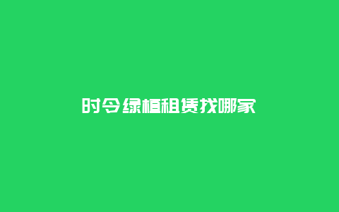 时令绿植租赁找哪家