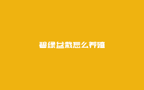 碧绿盆栽怎么养殖