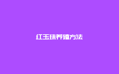 红玉珠养殖方法