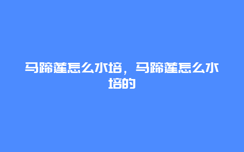 马蹄莲怎么水培，马蹄莲怎么水培的