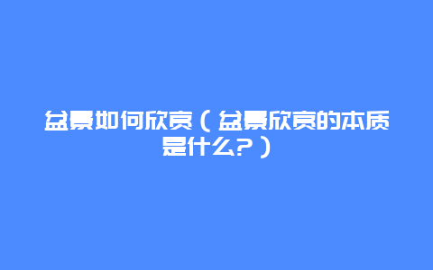 盆景如何欣赏（盆景欣赏的本质是什么?）