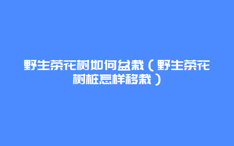 野生茶花树如何盆栽（野生茶花树桩怎样移栽）