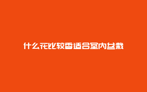 什么花比较香适合室内盆栽