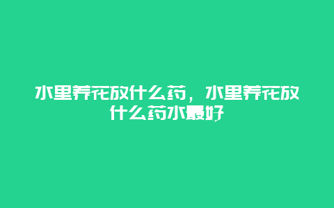 水里养花放什么药，水里养花放什么药水最好