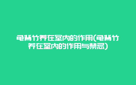 龟背竹养在室内的作用(龟背竹养在室内的作用与禁忌)