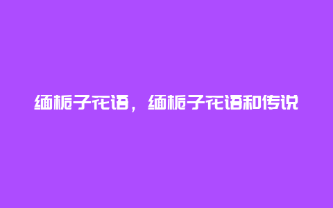 缅栀子花语，缅栀子花语和传说