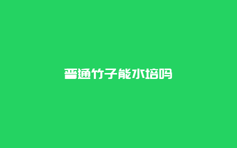 普通竹子能水培吗