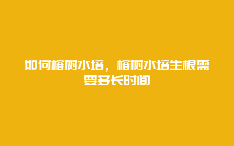 如何榕树水培，榕树水培生根需要多长时间