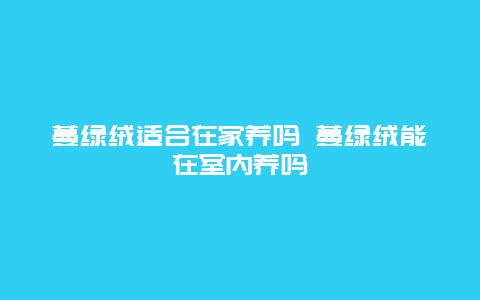 蔓绿绒适合在家养吗 蔓绿绒能在室内养吗