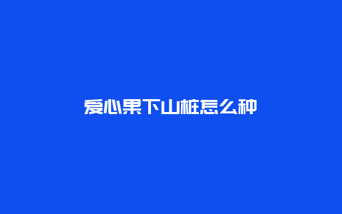 爱心果下山桩怎么种