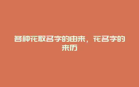 各种花取名字的由来，花名字的来历