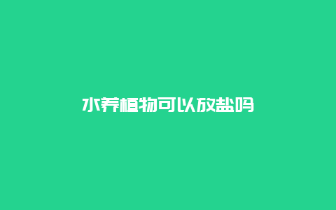 水养植物可以放盐吗