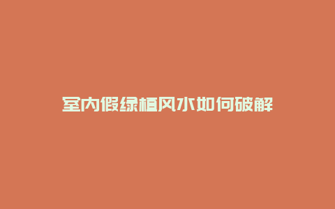 室内假绿植风水如何破解