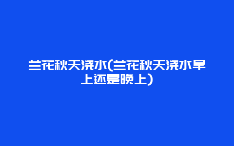 兰花秋天浇水(兰花秋天浇水早上还是晚上)