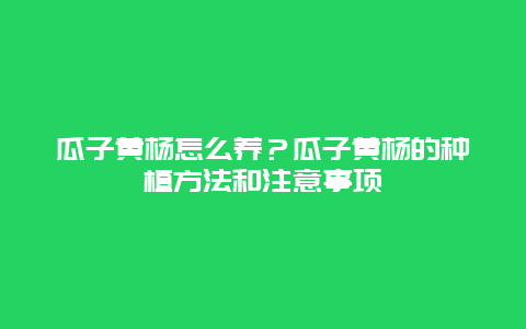 瓜子黄杨怎么养？瓜子黄杨的种植方法和注意事项