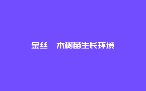 金丝楠木树苗生长环境